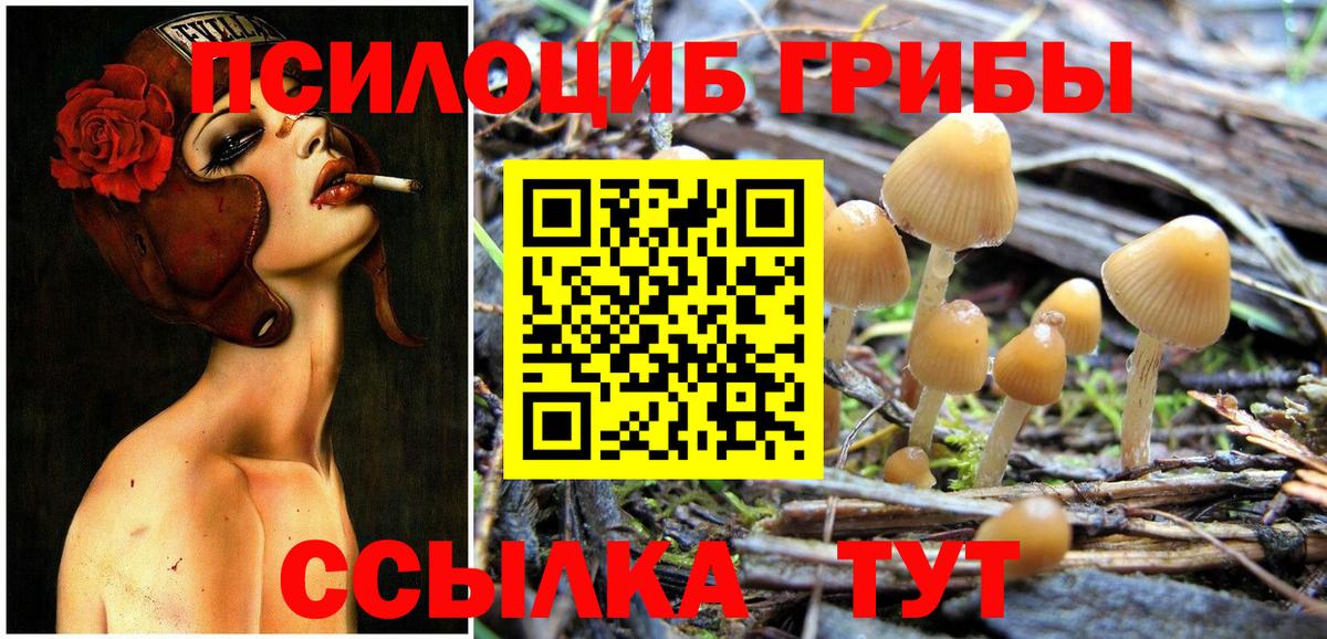 Псилоцибиновые грибы GOLDEN TEACHER Грязи
