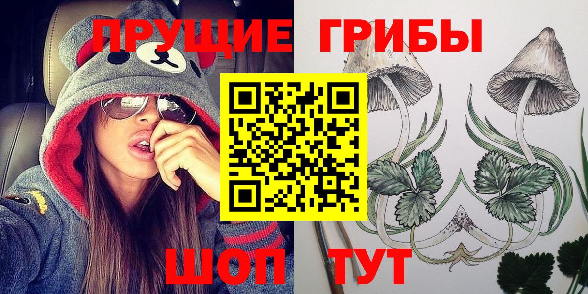 Галлюциногенные грибы мицелий  Вход с VPN  Грязи  Галлюциногенные грибы прущие грибы 
